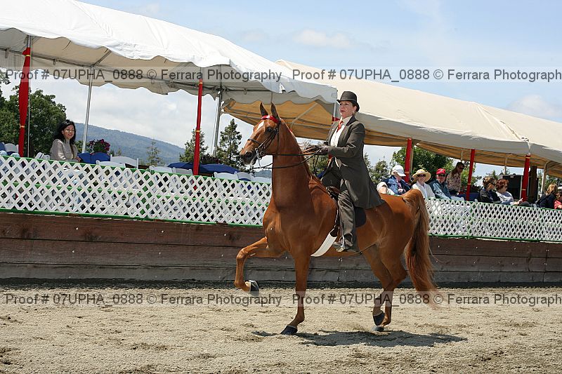 Proof Number 07upha_0888
