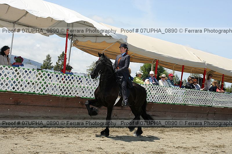 Proof Number 07upha_0890