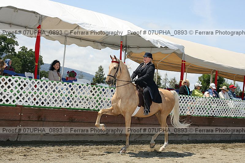 Proof Number 07upha_0893