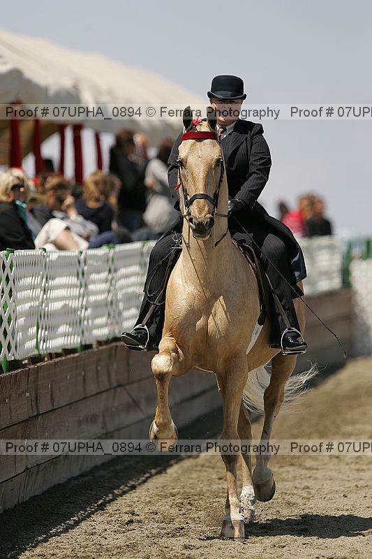 Proof Number 07upha_0894
