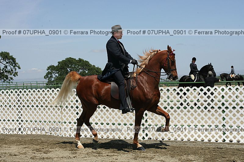 Proof Number 07upha_0901