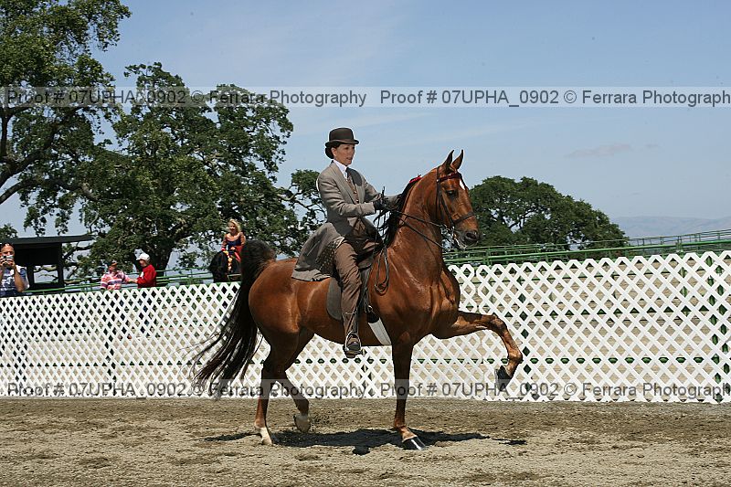 Proof Number 07upha_0902