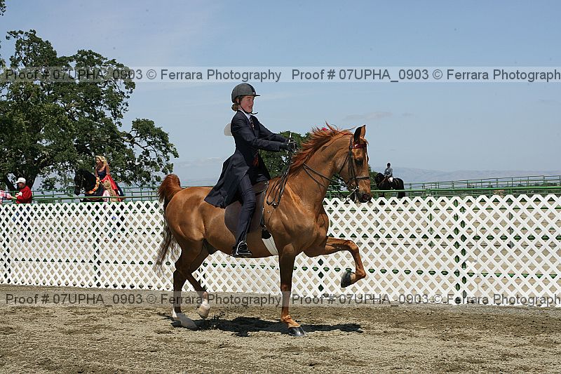 Proof Number 07upha_0903