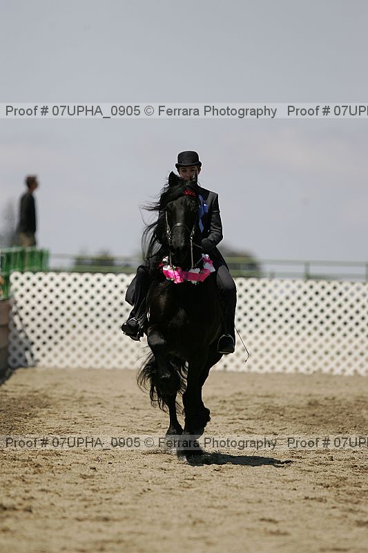 Proof Number 07upha_0905