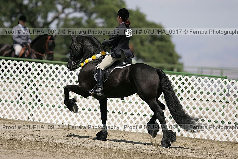 Proof Number 07upha_0917