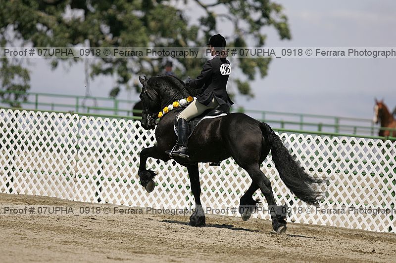 Proof Number 07upha_0918