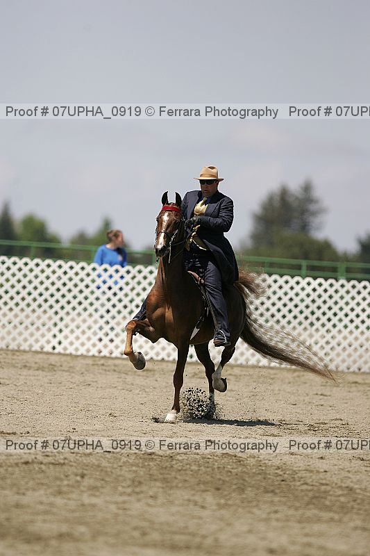 Proof Number 07upha_0919