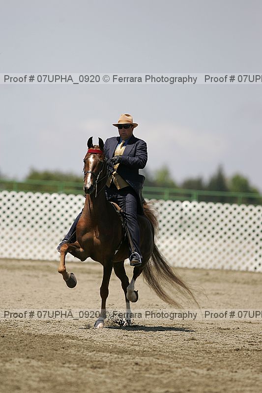 Proof Number 07upha_0920
