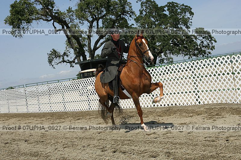 Proof Number 07upha_0927