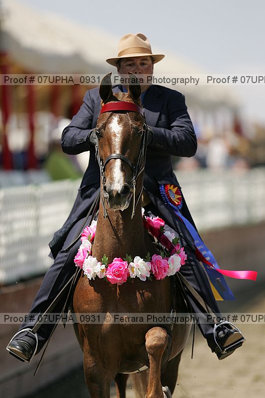 Proof Number 07upha_0931