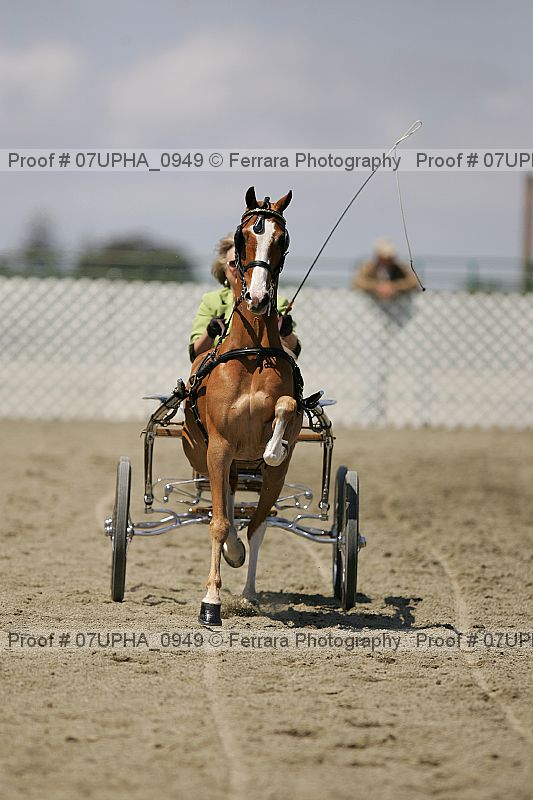 Proof Number 07upha_0949