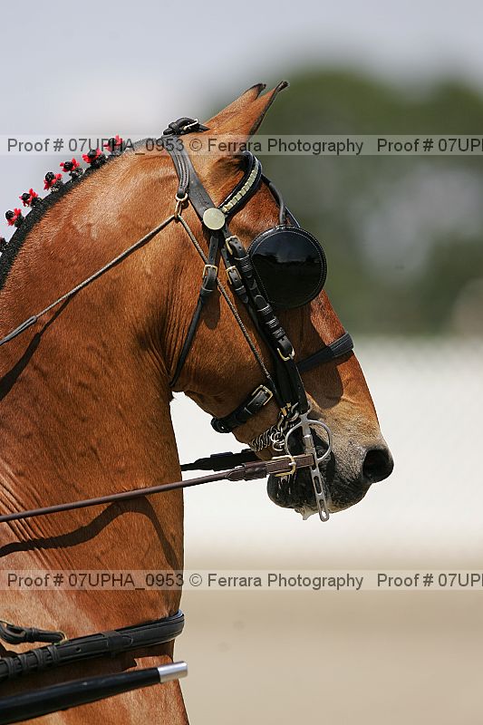Proof Number 07upha_0953