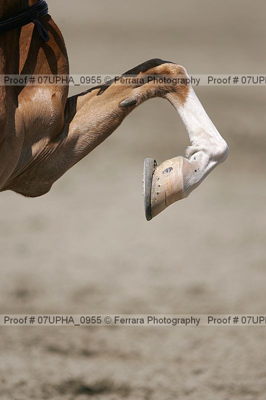 Proof Number 07upha_0955