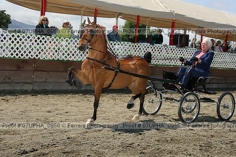 Proof Number 07upha_0956