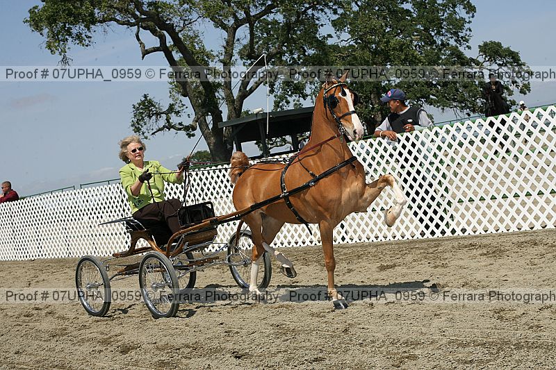 Proof Number 07upha_0959