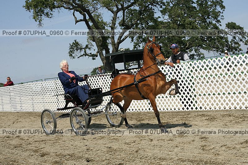 Proof Number 07upha_0960