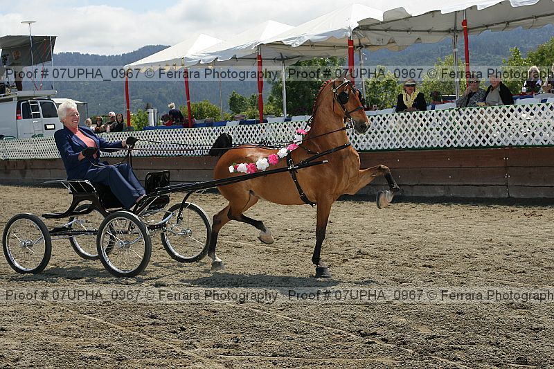 Proof Number 07upha_0967