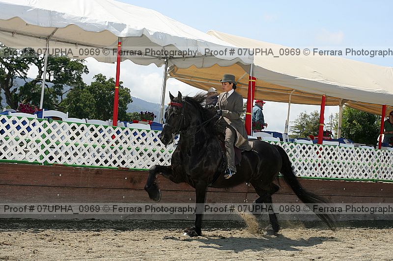 Proof Number 07upha_0969