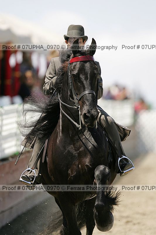 Proof Number 07upha_0970