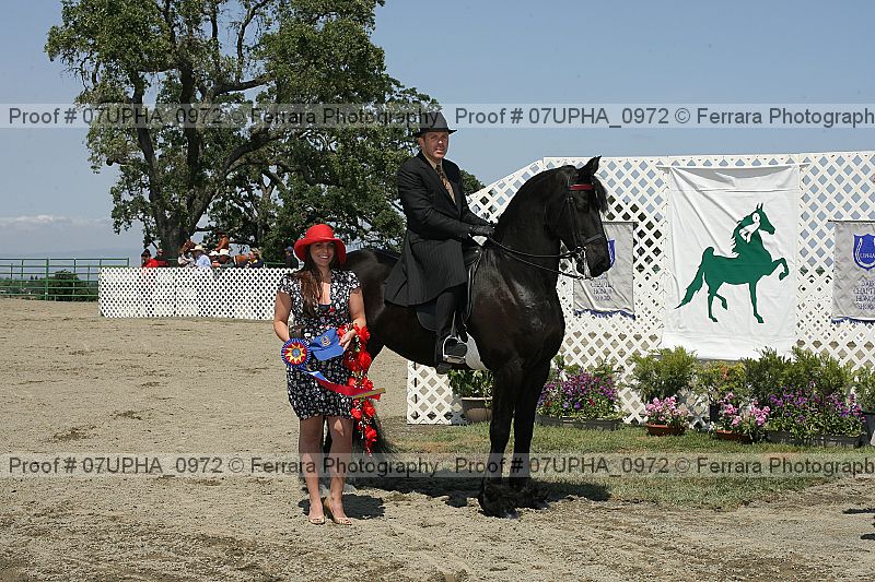 Proof Number 07upha_0972