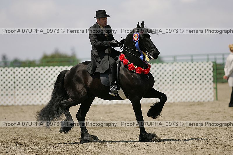 Proof Number 07upha_0973