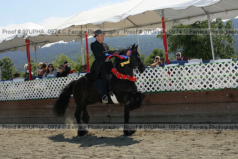Proof Number 07upha_0974
