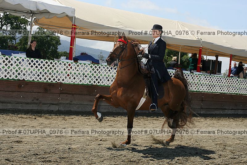 Proof Number 07upha_0976