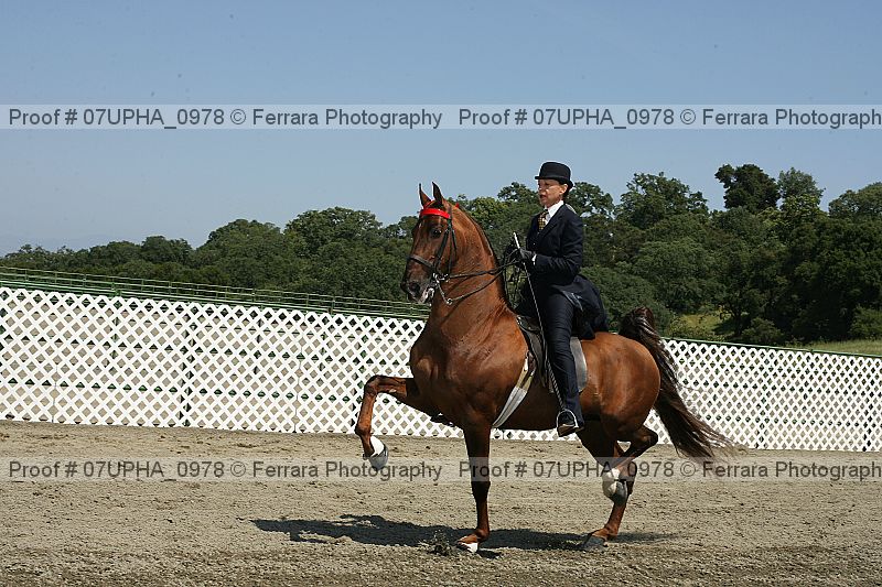Proof Number 07upha_0978