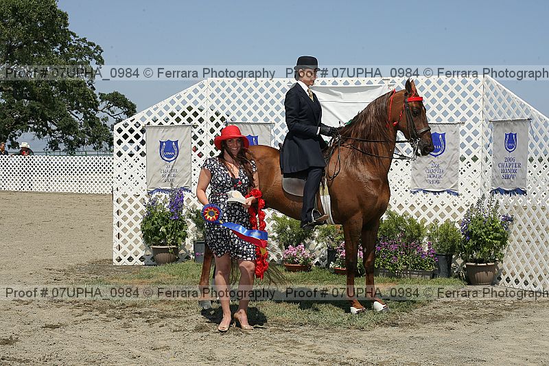 Proof Number 07upha_0984