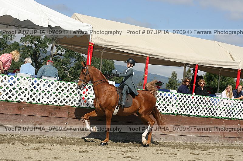 Proof Number 07upha_0709