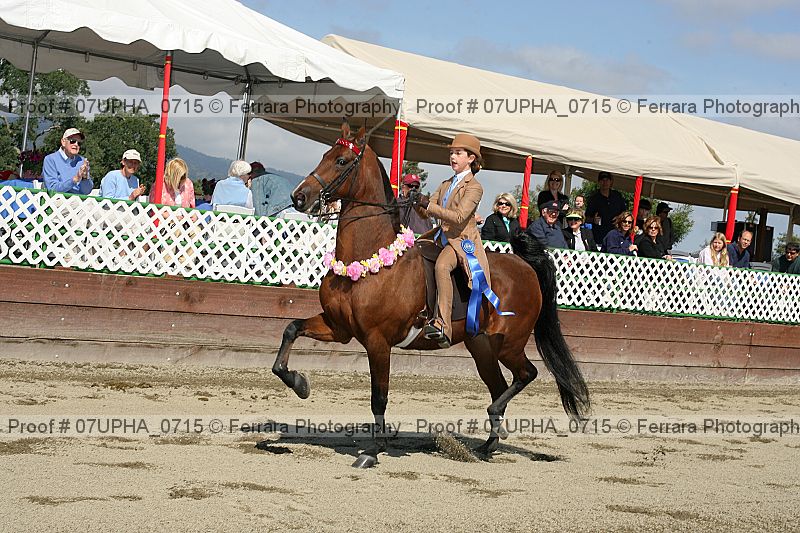 Proof Number 07upha_0715