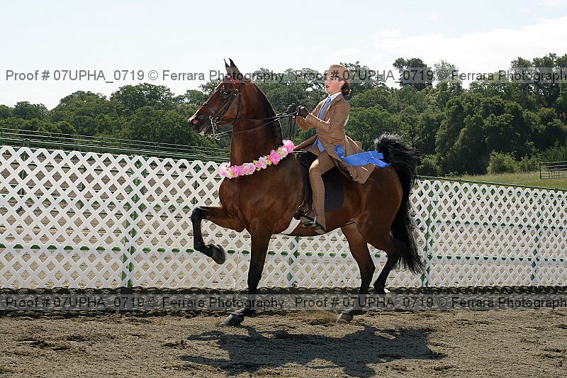Proof Number 07upha_0719