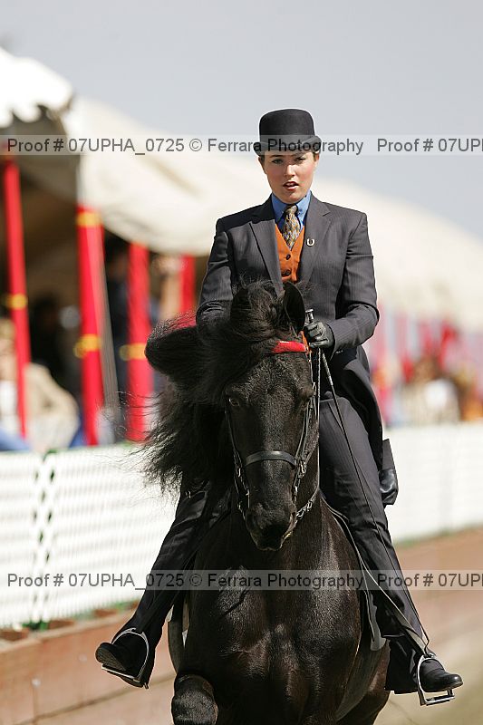 Proof Number 07upha_0725