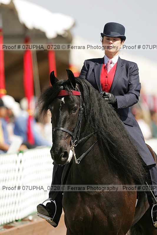 Proof Number 07upha_0728