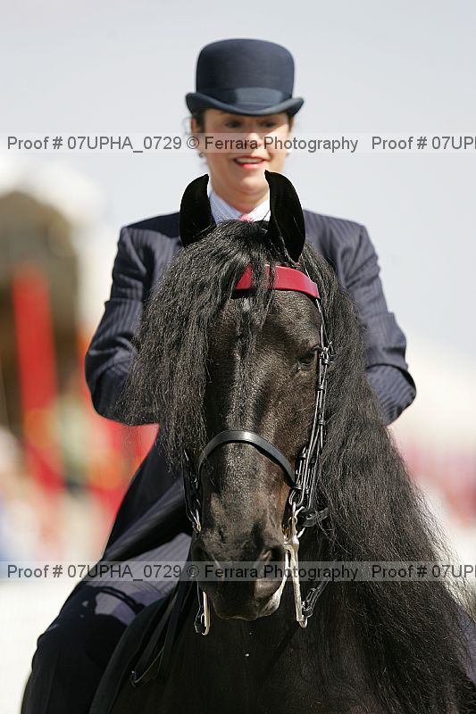 Proof Number 07upha_0729