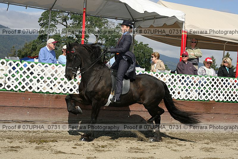 Proof Number 07upha_0731