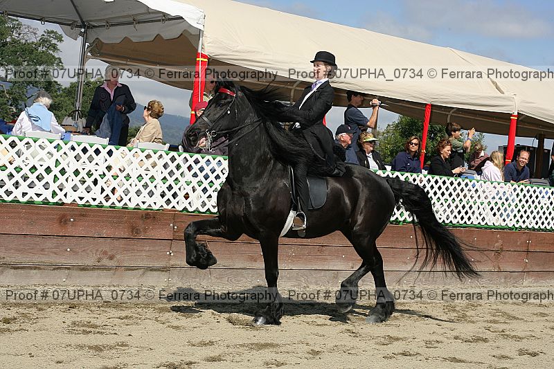 Proof Number 07upha_0734