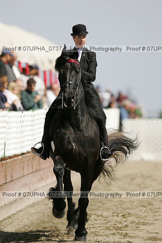 Proof Number 07upha_0737