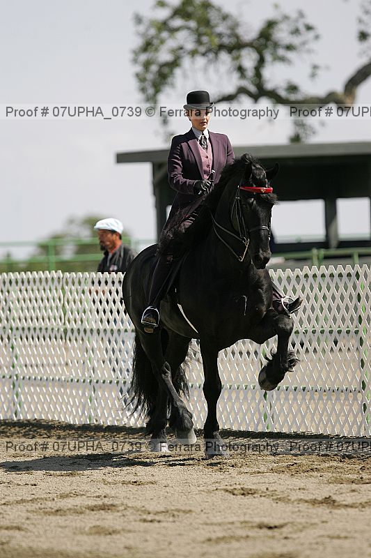Proof Number 07upha_0739