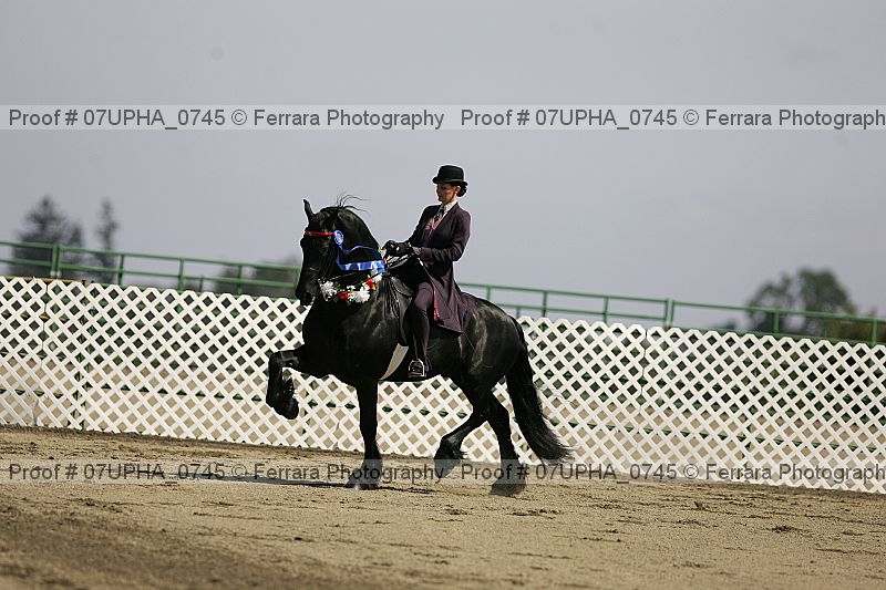 Proof Number 07upha_0745