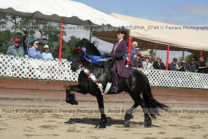 Proof Number 07upha_0746