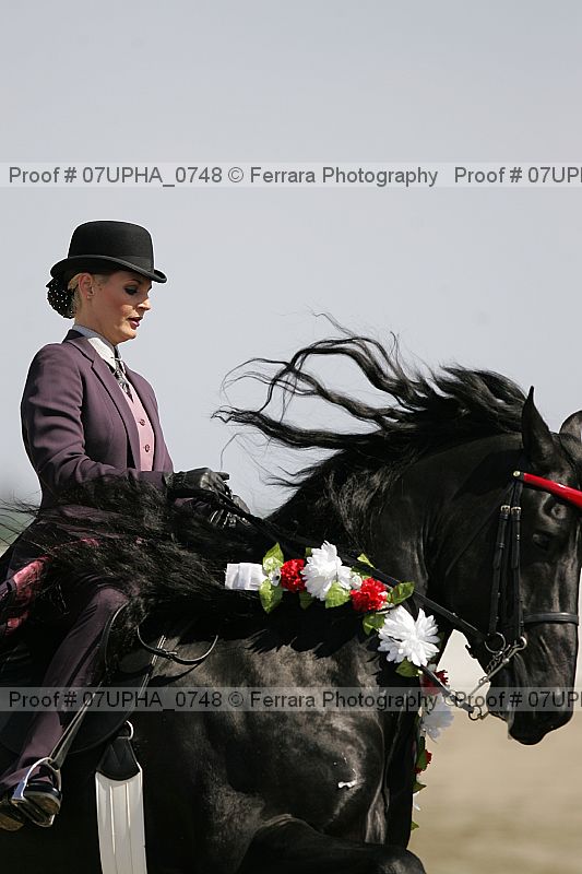 Proof Number 07upha_0748