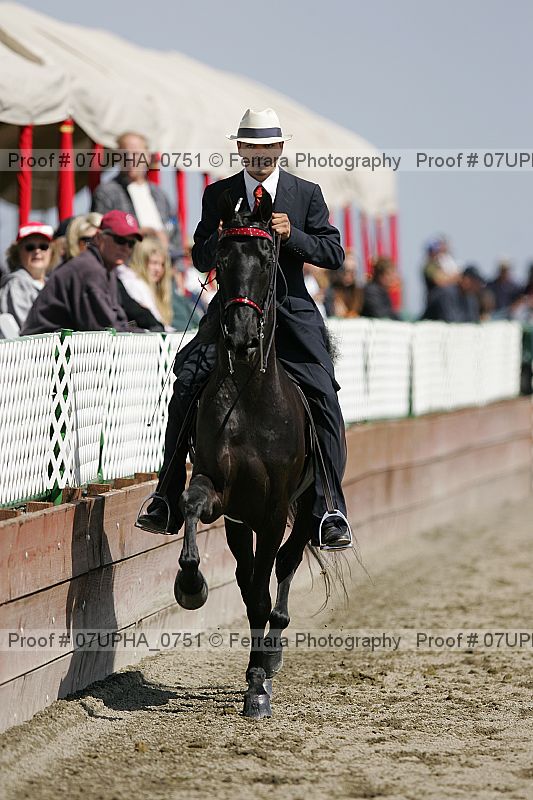 Proof Number 07upha_0751