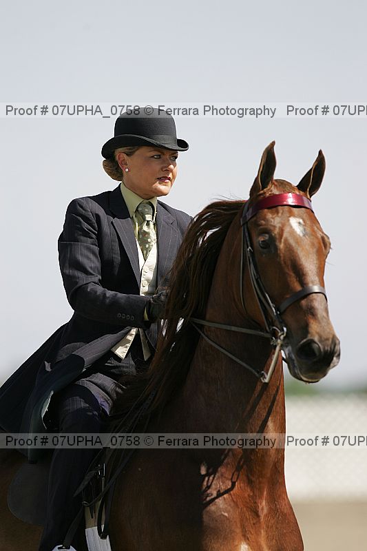 Proof Number 07upha_0758