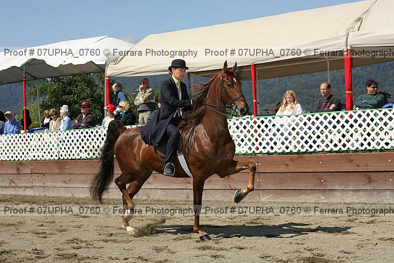 Proof Number 07upha_0760