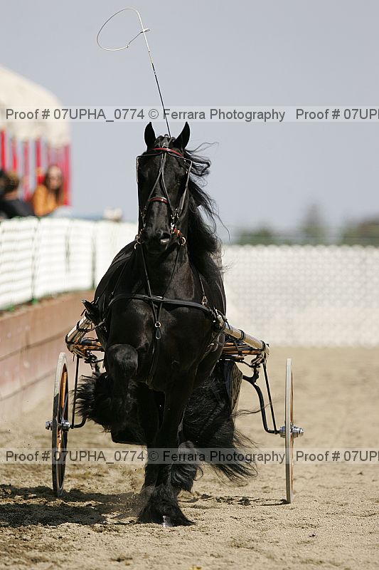 Proof Number 07upha_0774