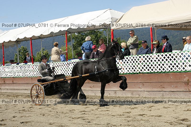Proof Number 07upha_0781