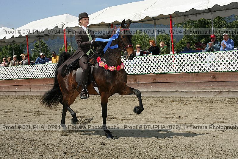 Proof Number 07upha_0794