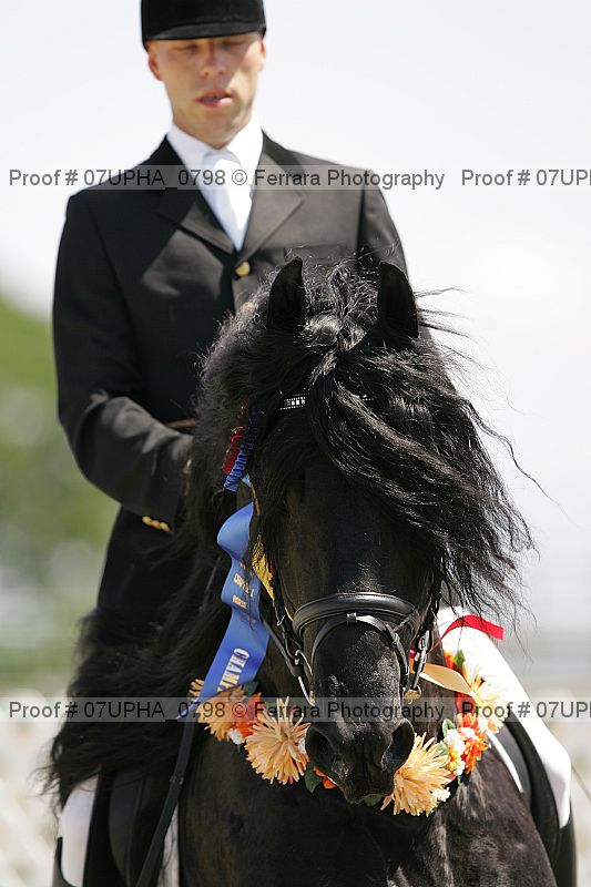 Proof Number 07upha_0798