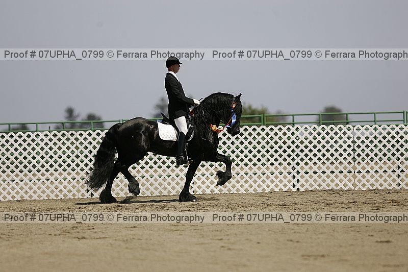 Proof Number 07upha_0799